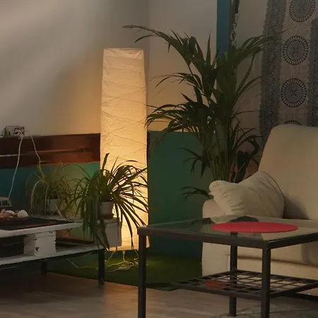 Single Fin Surf Hostal *
