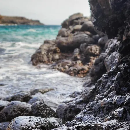 Single Fin Surf 阿罗纳