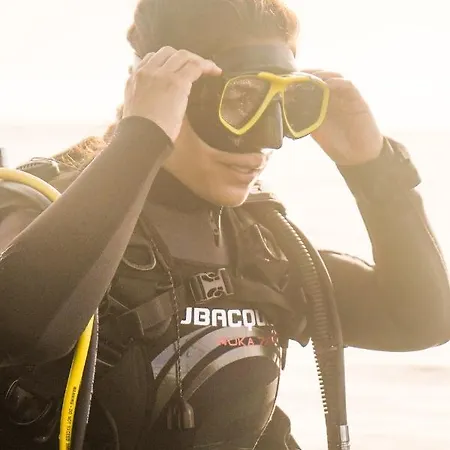 旅馆 Single Fin Surf *