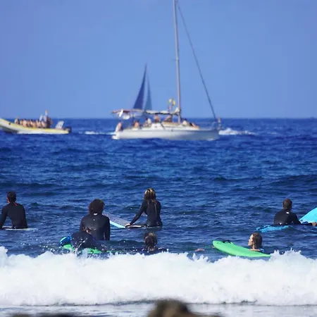 Single Fin Surf 旅馆
