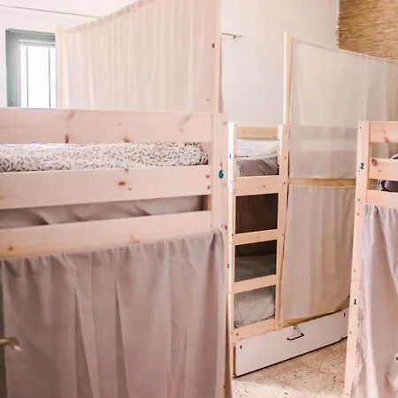 旅馆 Single Fin Surf