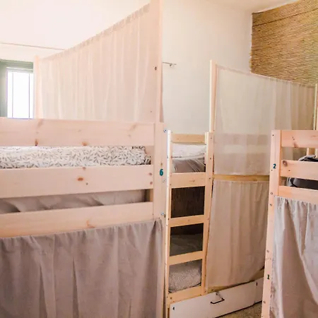 Single Fin Surf 旅馆 阿罗纳