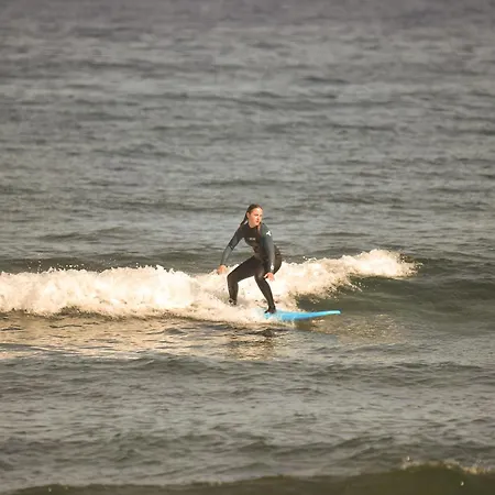 旅馆 Single Fin Surf *