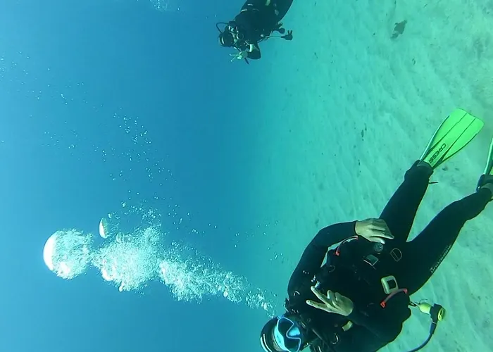 Hostel Single Fin Arona (Tenerife)