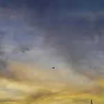 بيت شباب Single Fin Surf