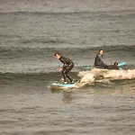 Single Fin Surf بيت شباب أرونا
