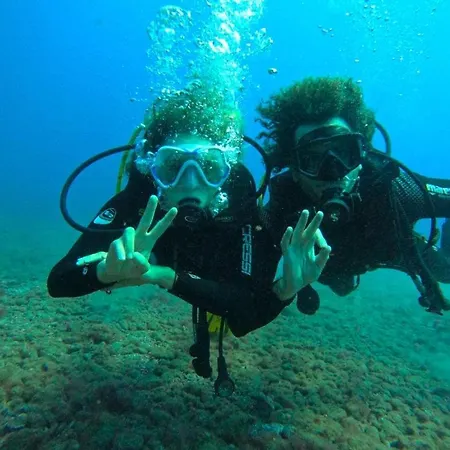 Single Fin Surf Hostel