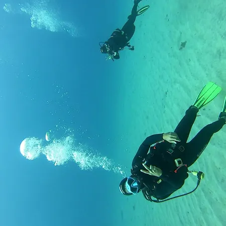 بيت شباب Single Fin Surf أرونا