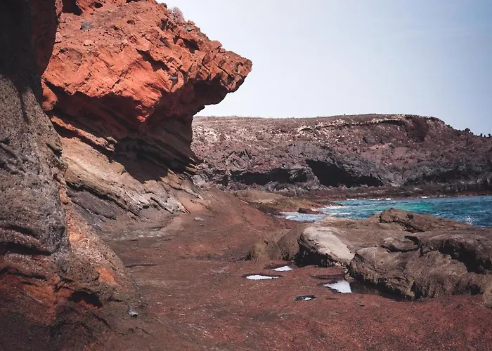 Single Fin Surf ホステル *