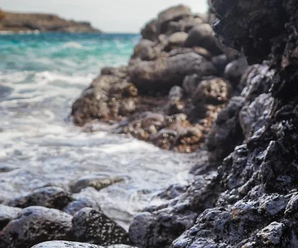 Single Fin Surf 아로나