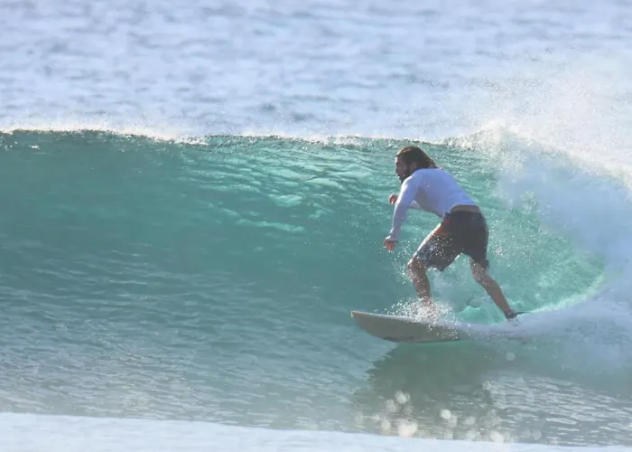 Hostal Single Fin Surf *