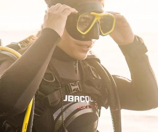 호스텔 Single Fin Surf *