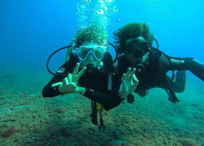 Single Fin Surf ホステル