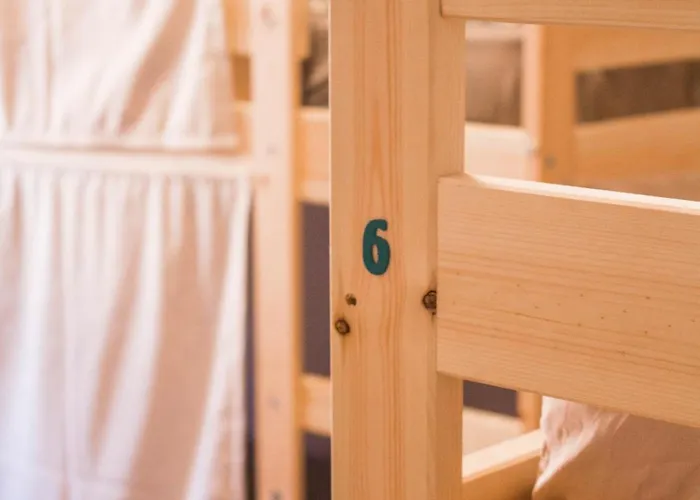 Single Fin Surf Hostal *