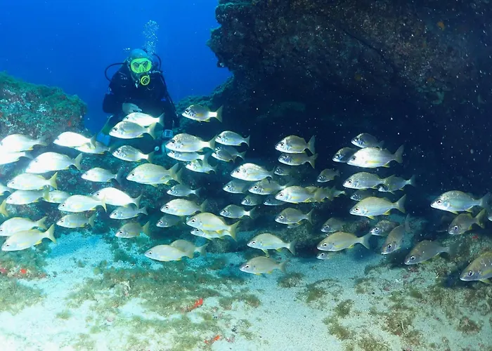 Single Fin Surf Hostal *