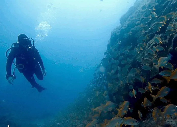 Single Fin Surf Hostal