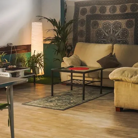 Single Fin Surf Hostel