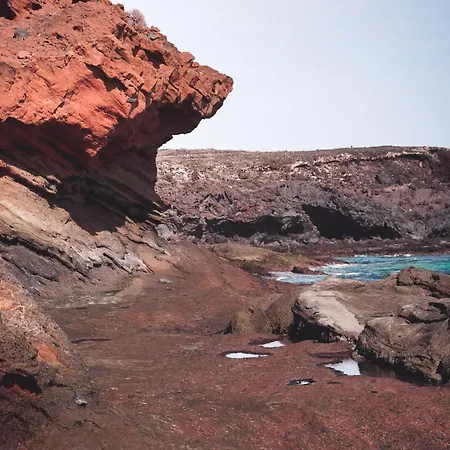 Single Fin Surf بيت شباب *