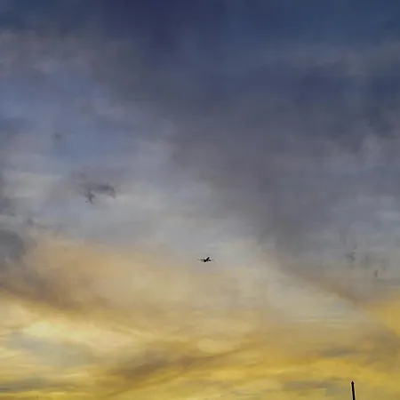 بيت شباب Single Fin Surf