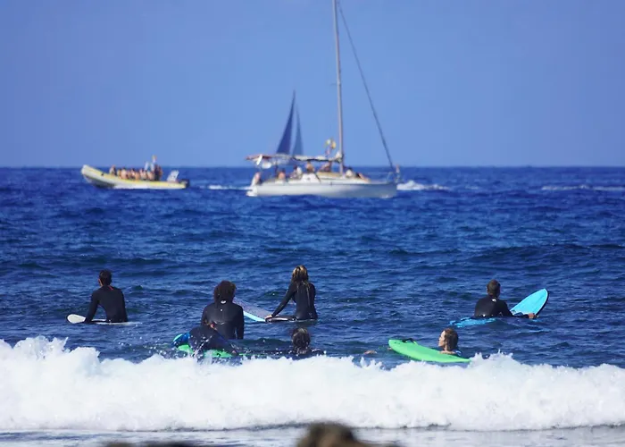 Single Fin Surf Hostel