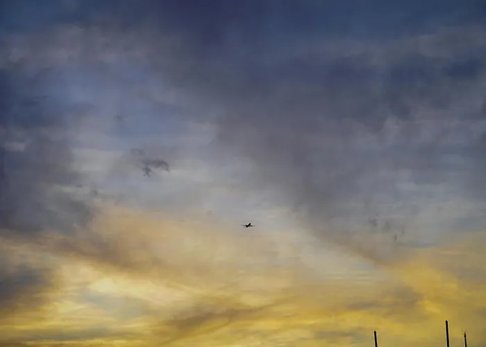 Hostel Single Fin Surf